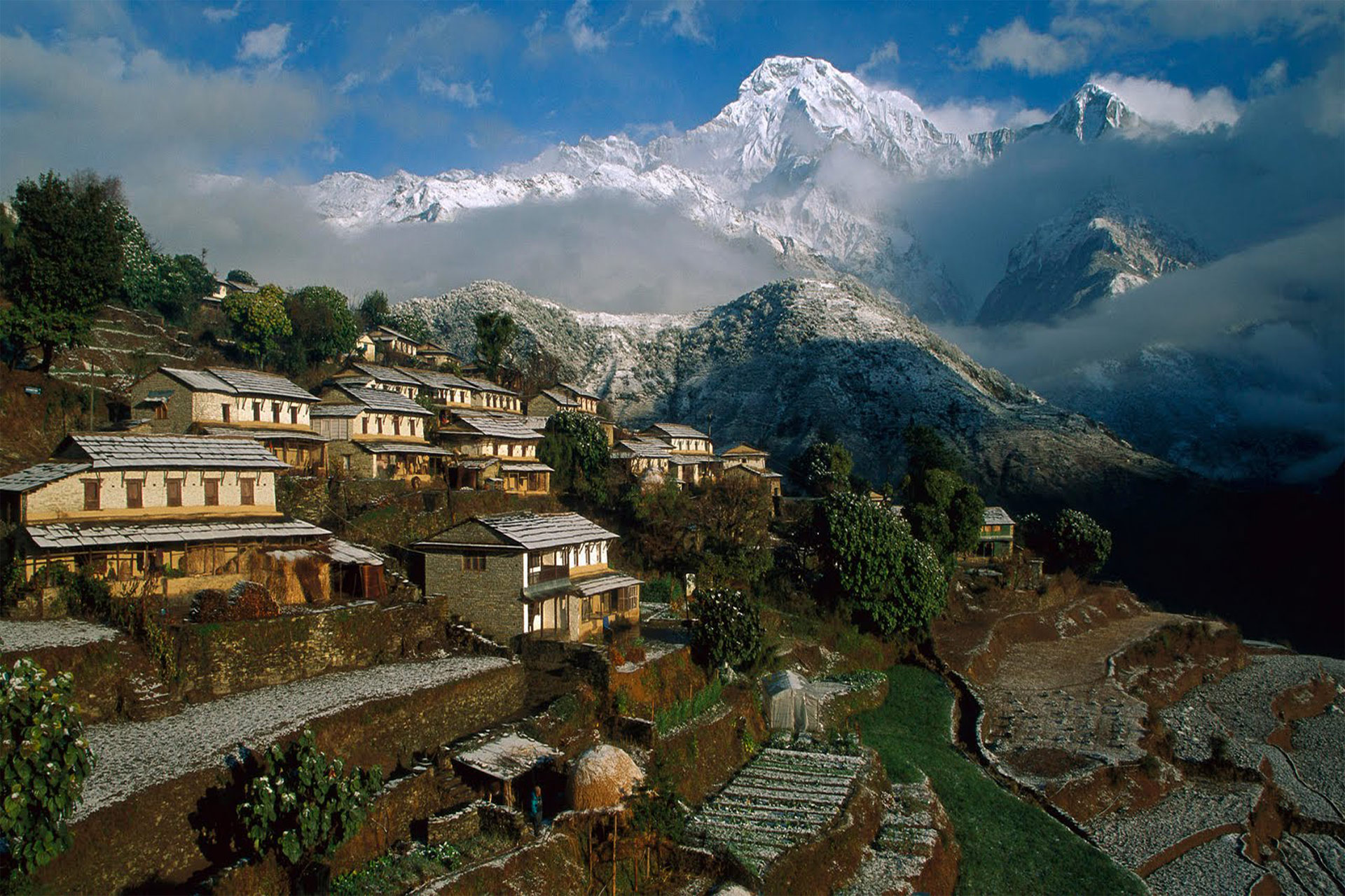 Ghorepani Poon hill Trek 