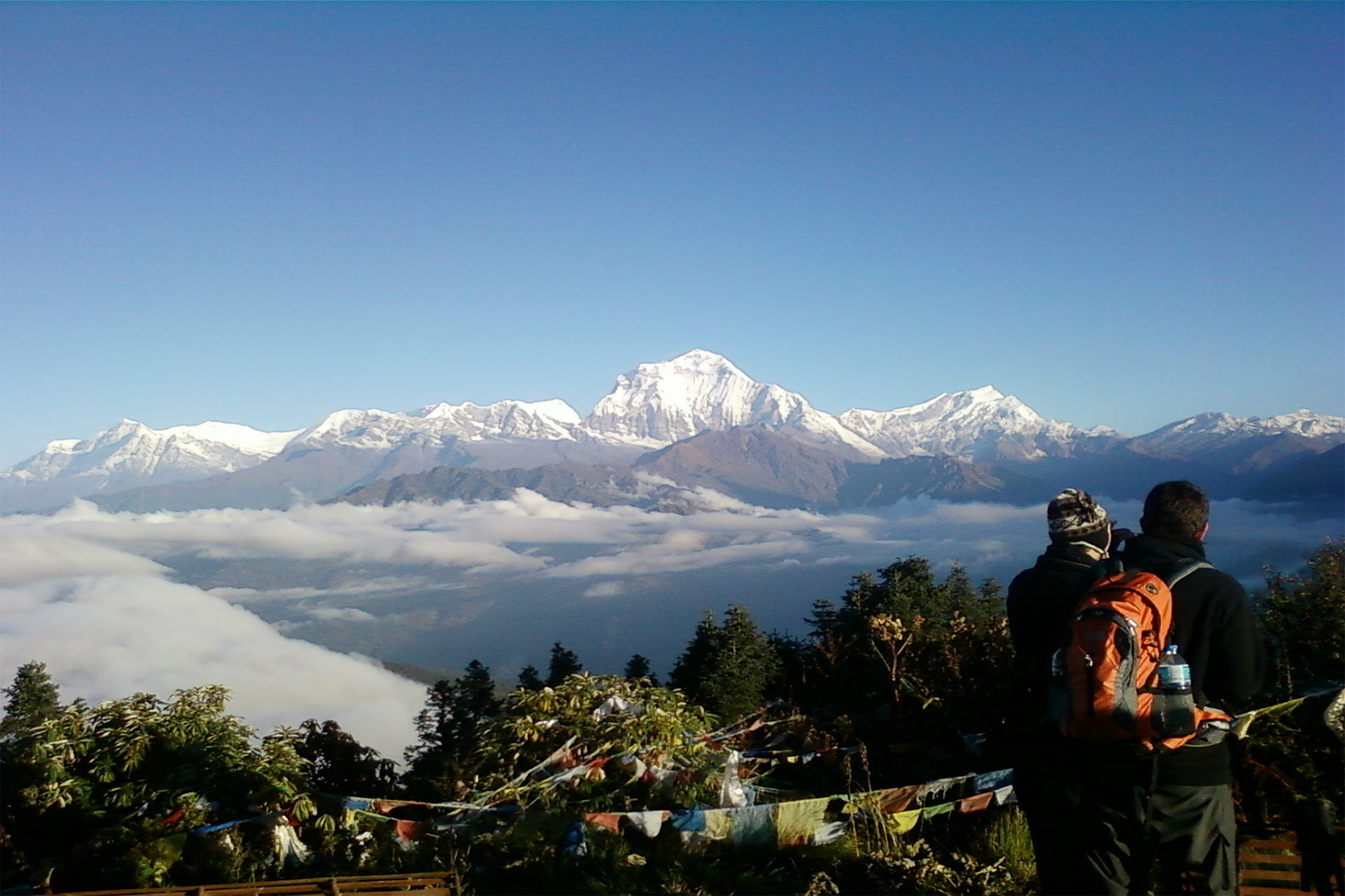 Ghorepani Poon hill Trek 