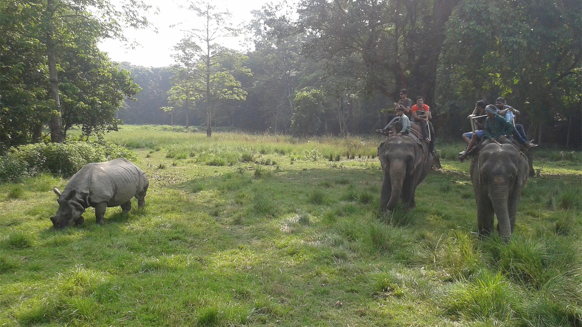 Chitwan