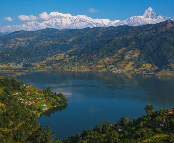 Phewa Lake Thumbanil