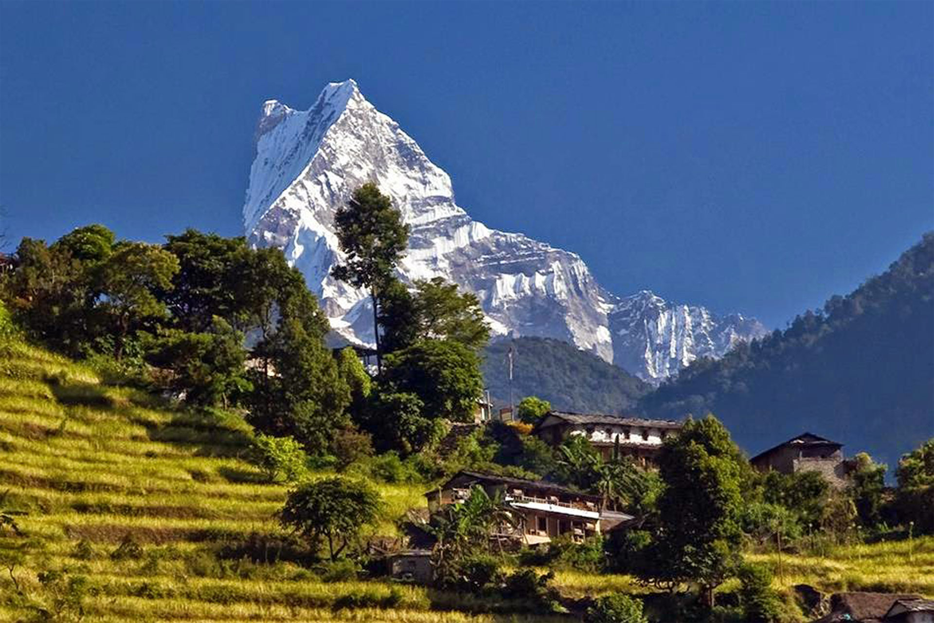 Ghorepani Poon hill Trek 