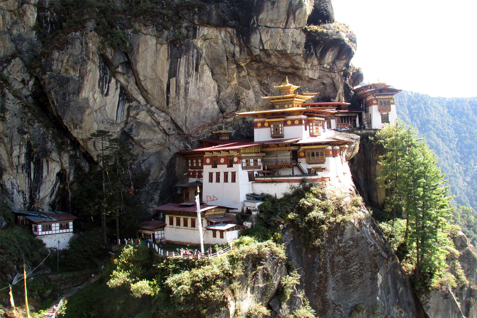 Best of Bhutan Tours