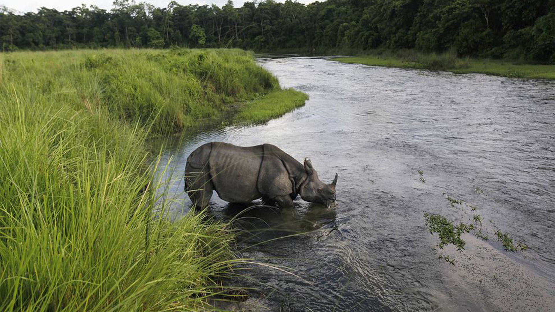 Chitwan